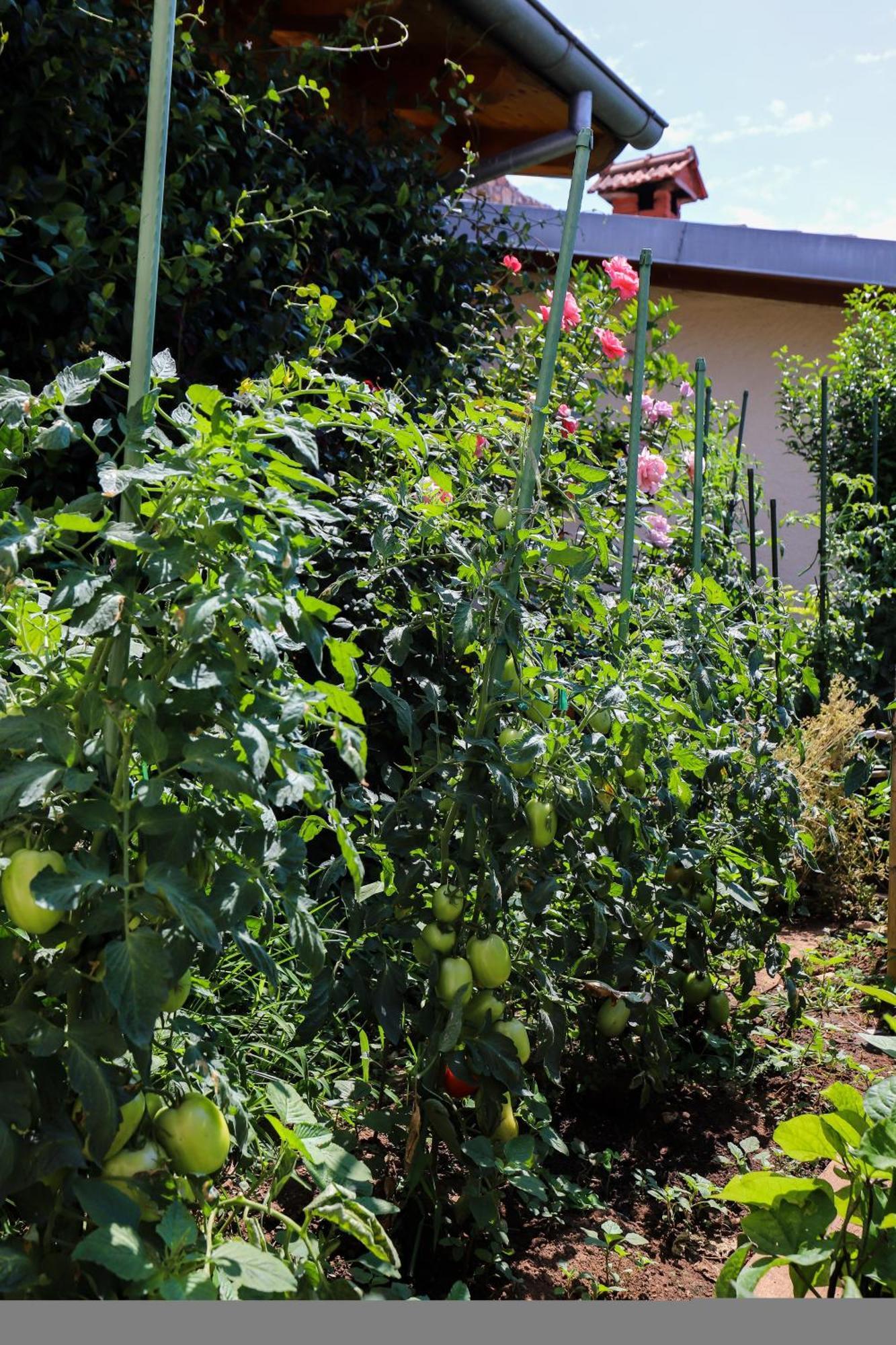 Apartment Garden M&M Ragusa Esterno foto