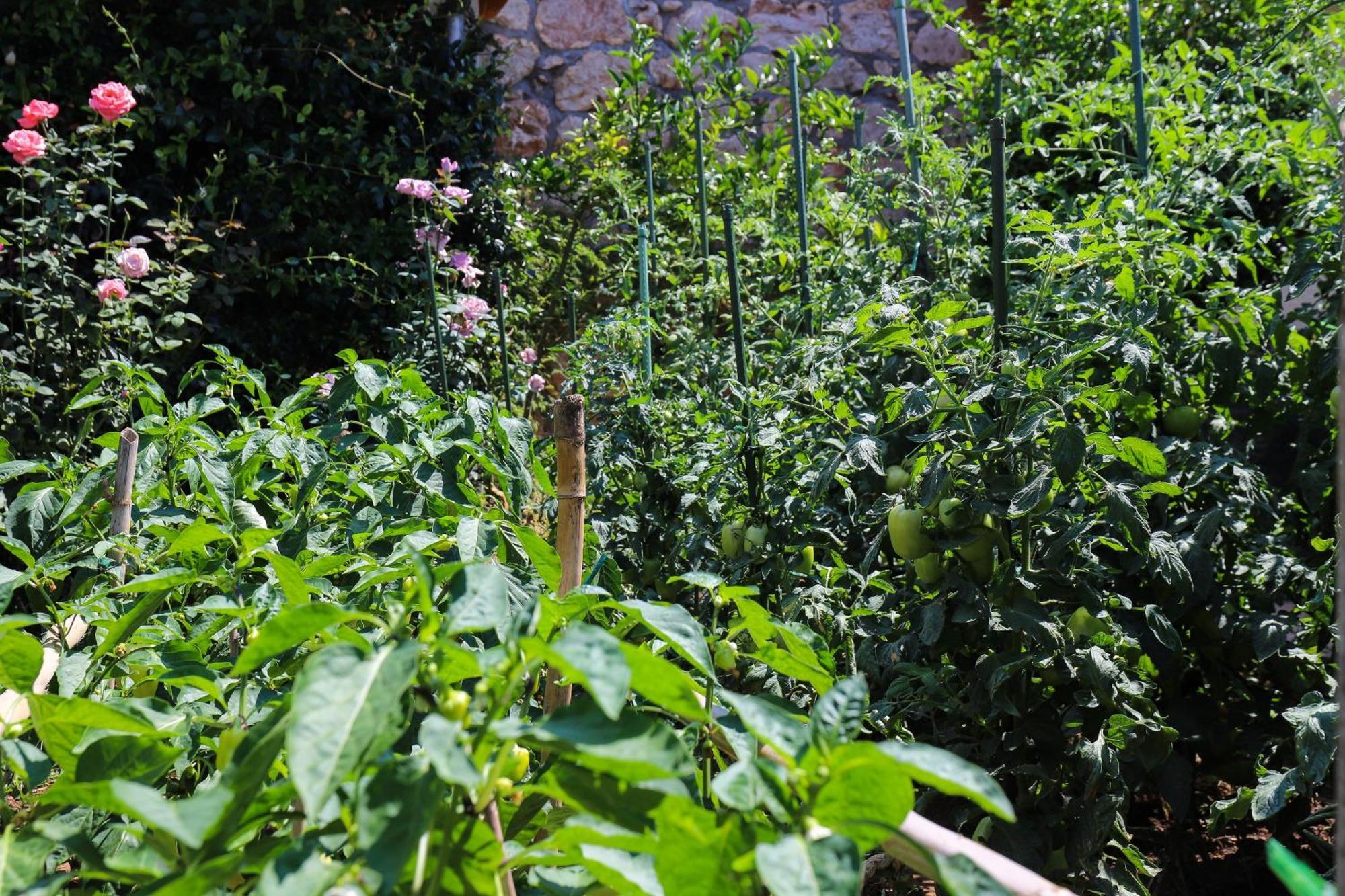 Apartment Garden M&M Ragusa Esterno foto